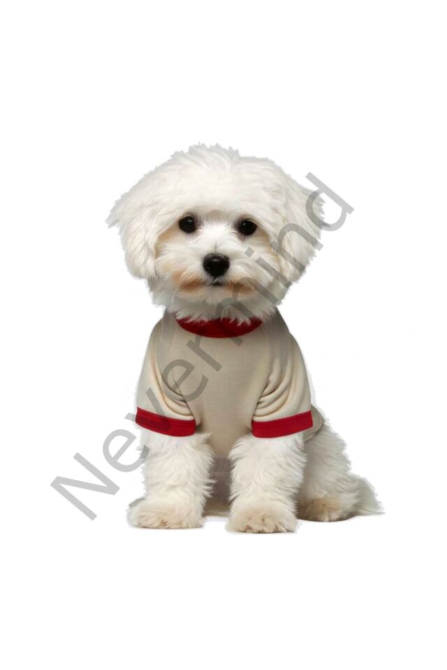Hunde-T-Shirt mit Palmen-Sonnenuntergang-Muster – Sommerkleidung für Katzen und Hunde